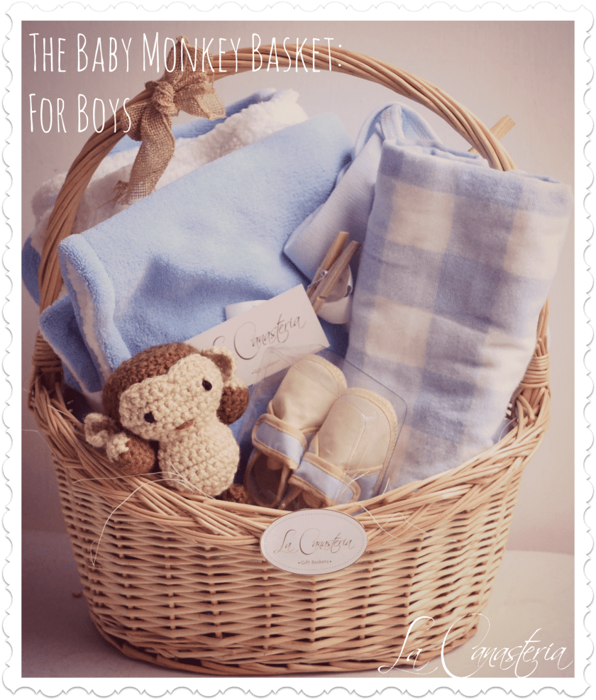 thebabymonkeybasket_boystitle_logo