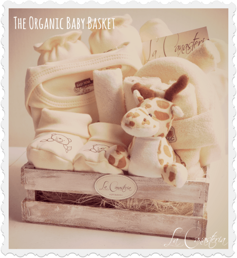 TheOrganicBabyBasket_Logo_Title2