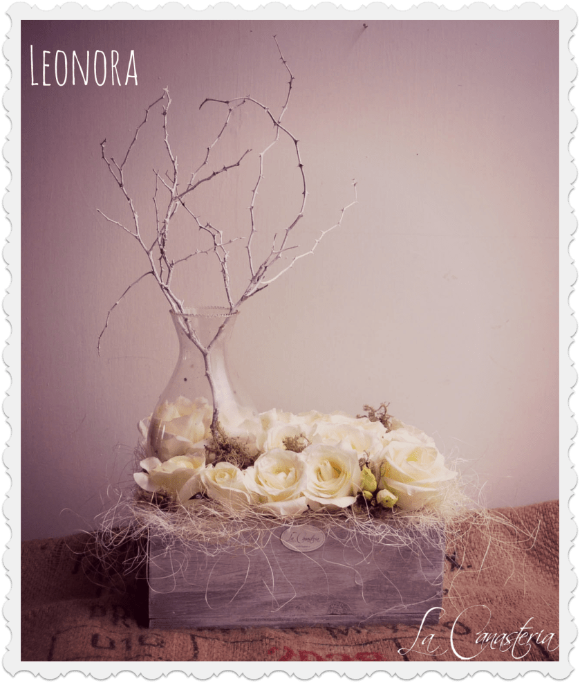 Leonora_Title_Logo_Frame