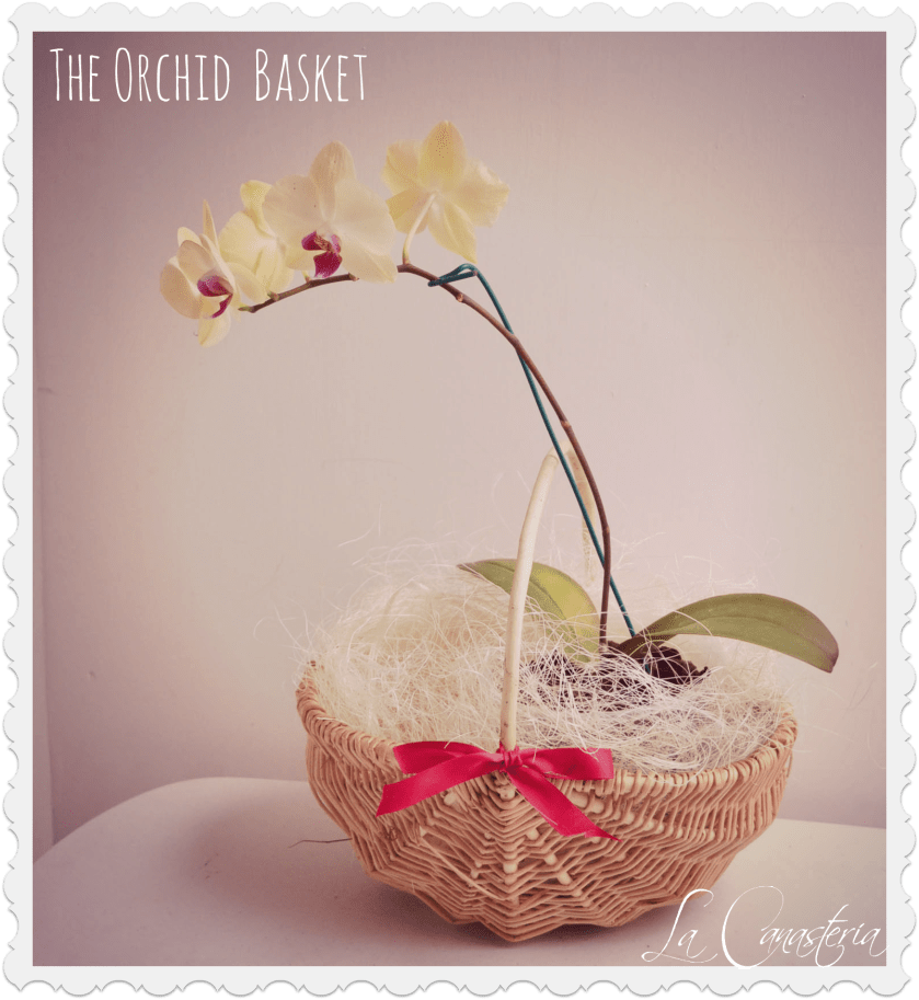 TheOrchidBasket_Title_Logo