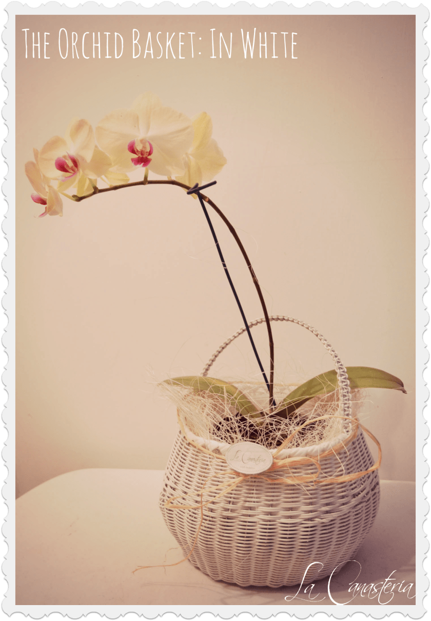 TheOrchidBasket_White_Logo
