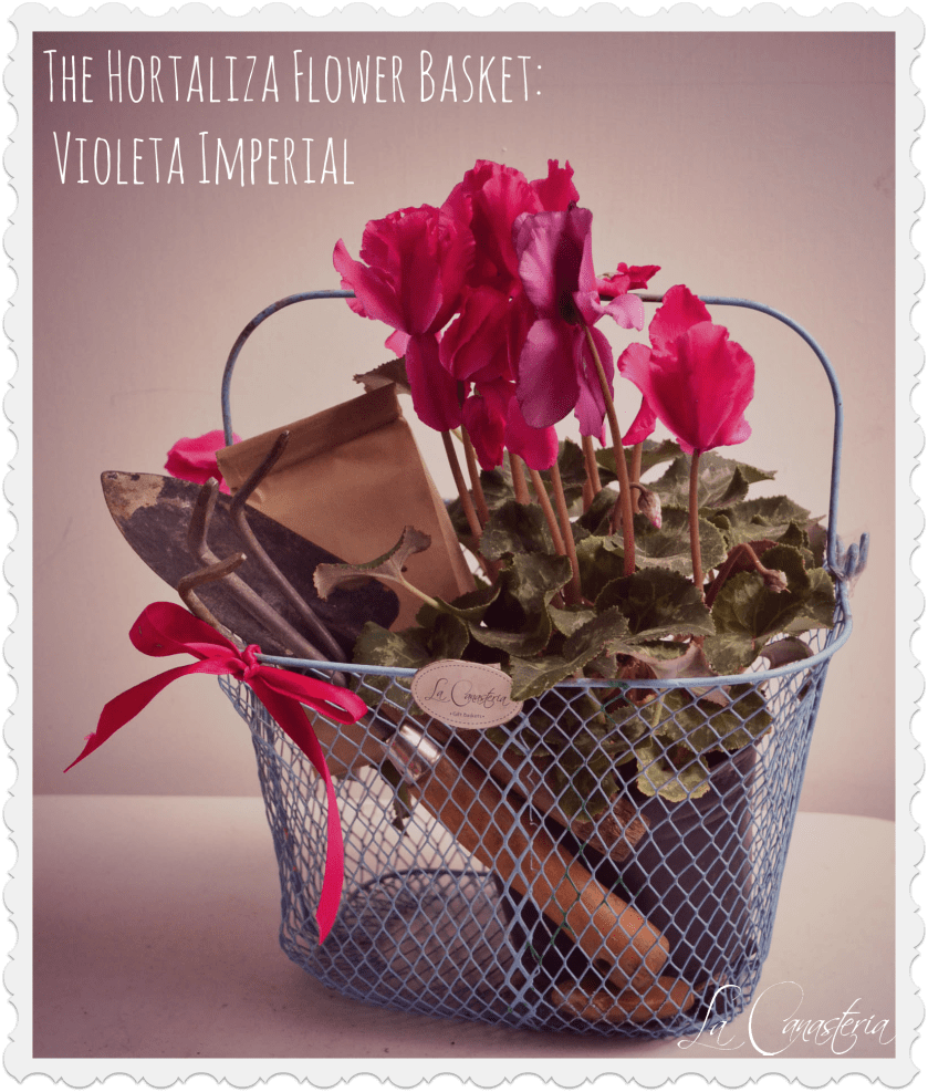 TheortalizaFlowerBasket_VioletaImperial_Logo_Title