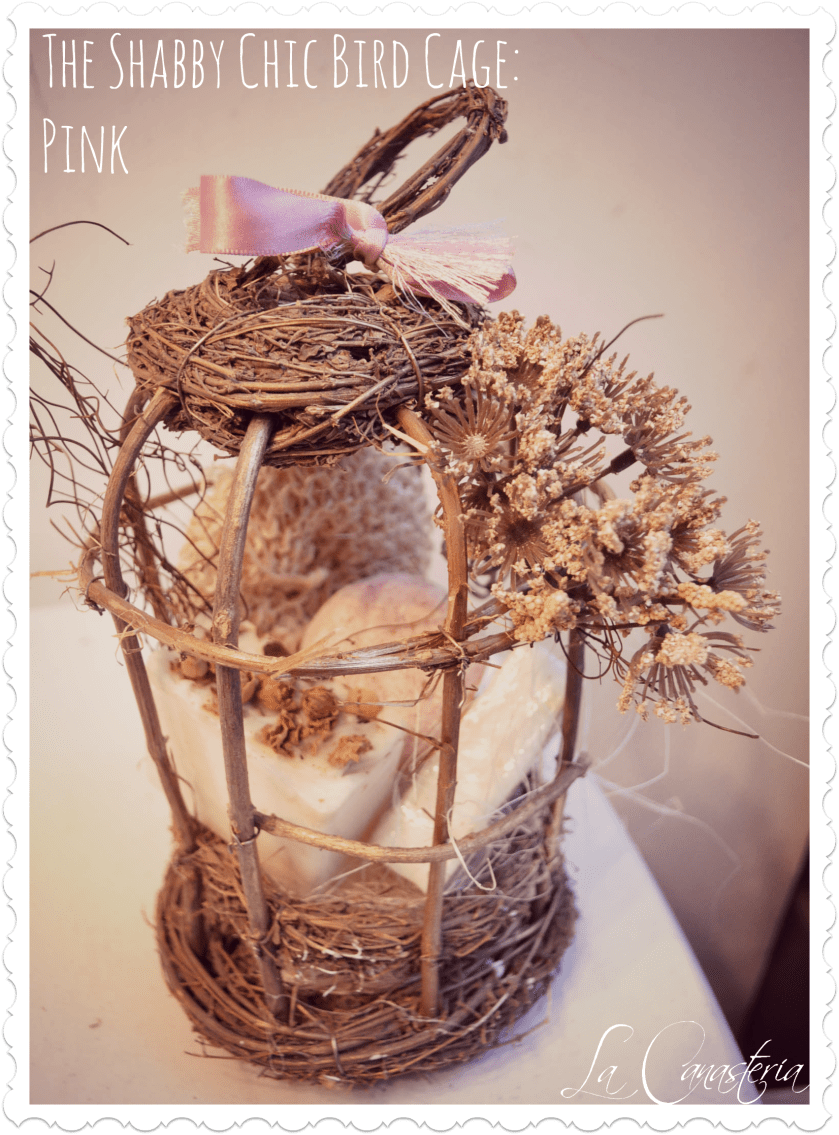TheShabbyChicBirdCage_Pink_Title_Logo