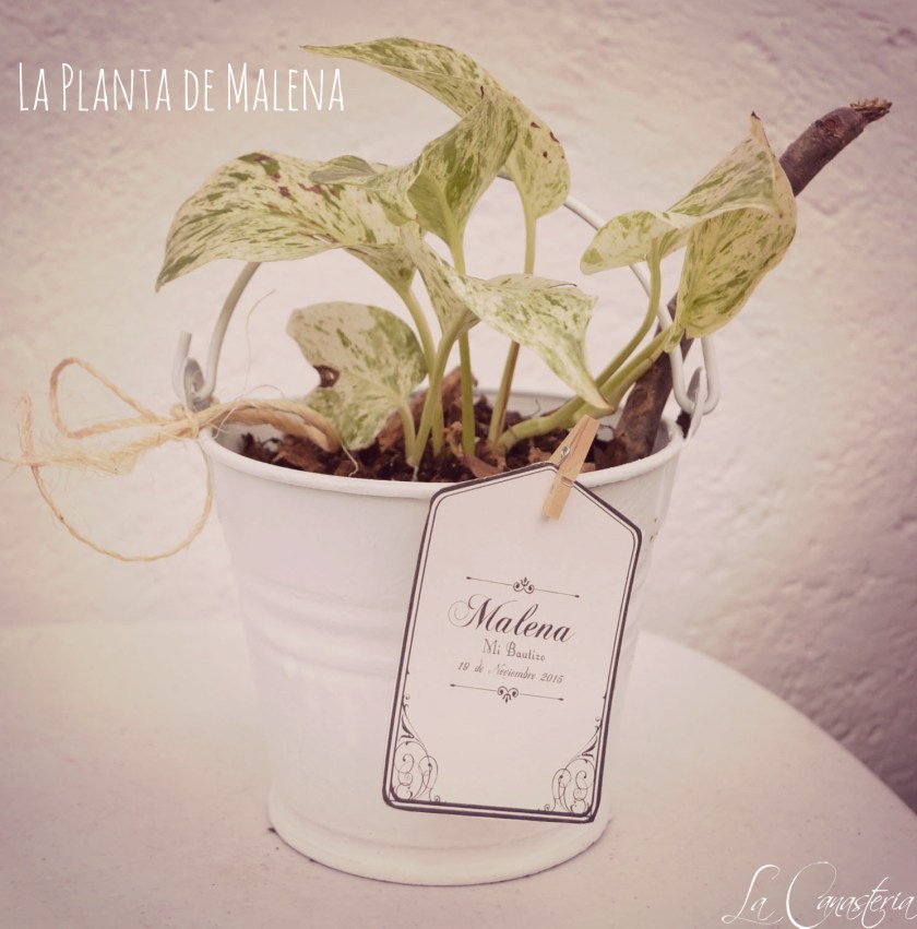 Laplantademalena_title_logo