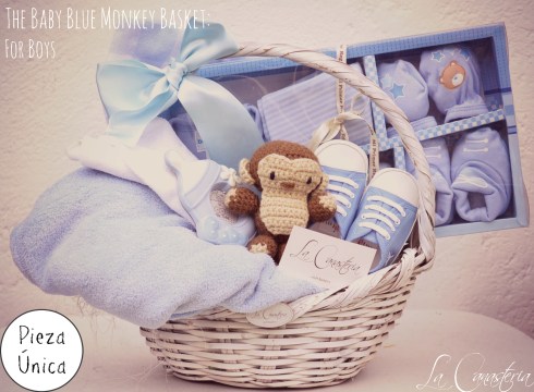 TheBabyBlueMonkeyBasket_ForBoys_Title_logo