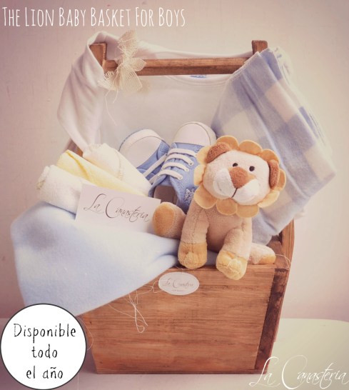 TheLionBabyBasket_Forboys_title_logo