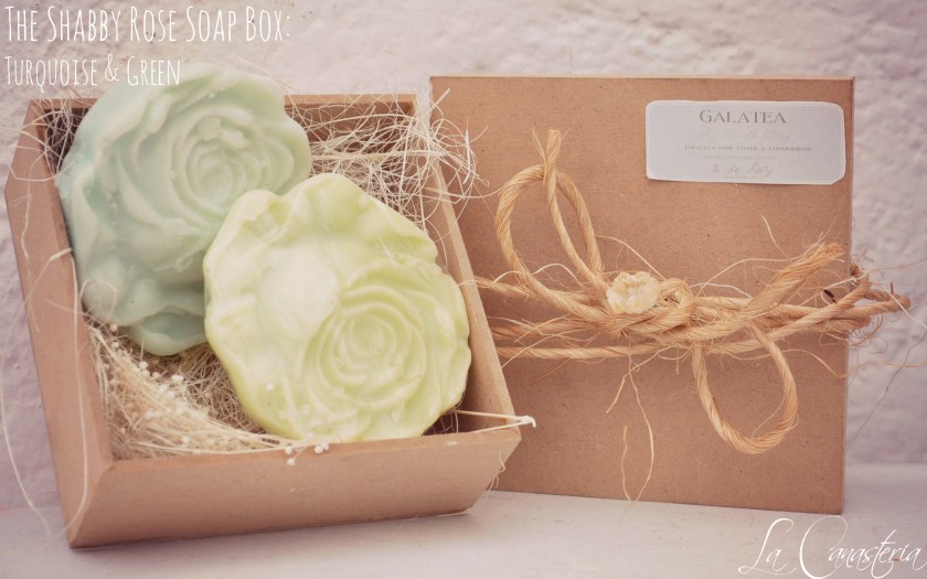 Theshabbyrosesoapbox_turquoise&ghreen_TITLE_LOGO