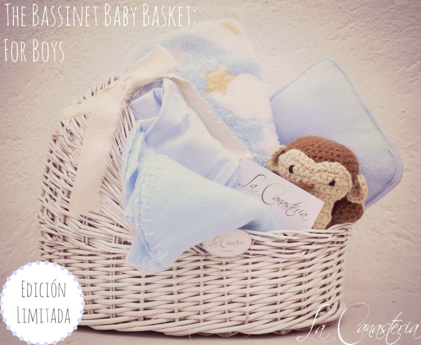 TheBassinetBAbyBasket_Forboys_title_logo