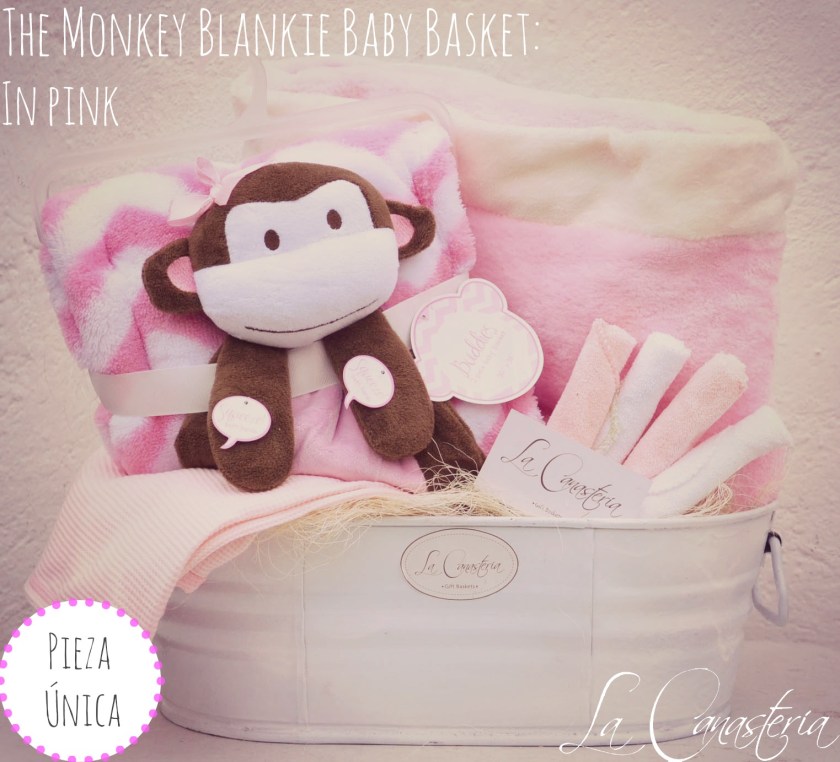 TheMonkeyBlankieBabyBasket_Inpink_title_logo