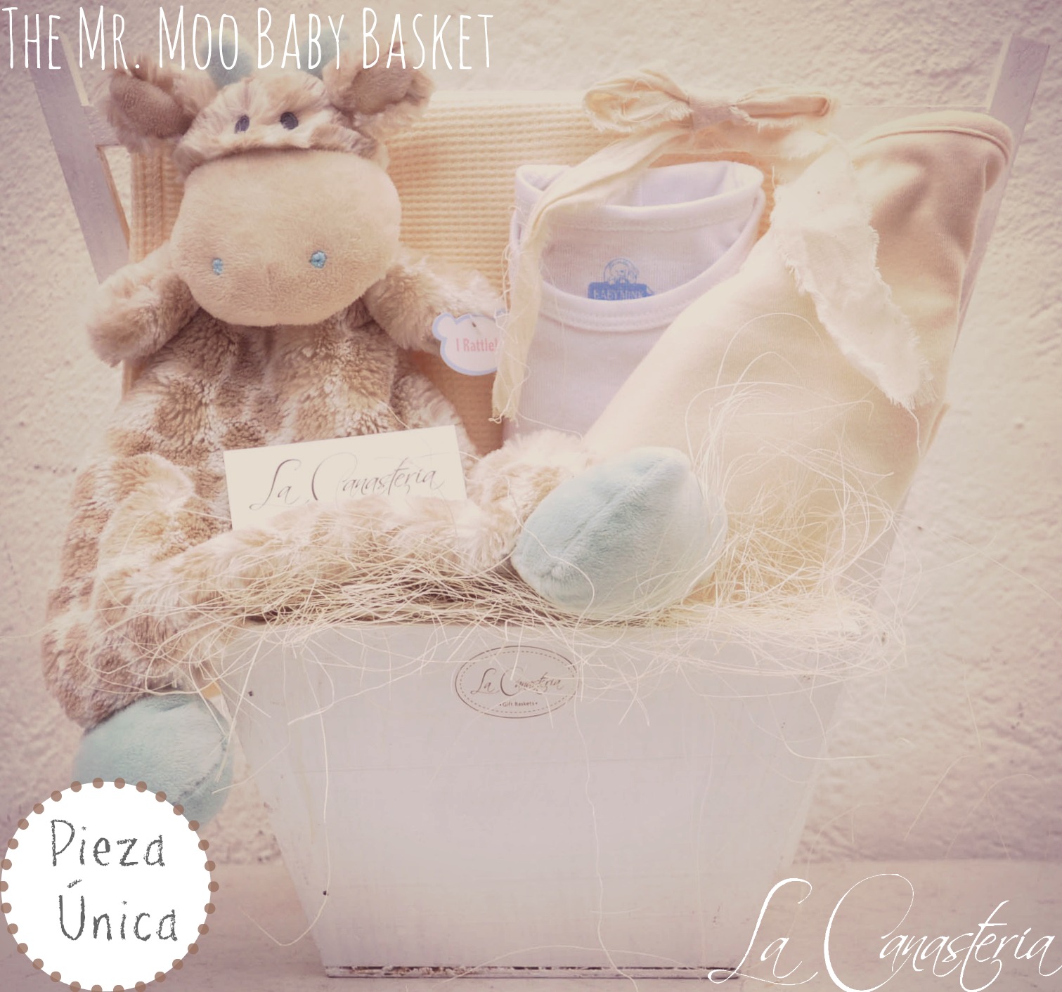 TheMr.MooBabyBAsket_title_logo