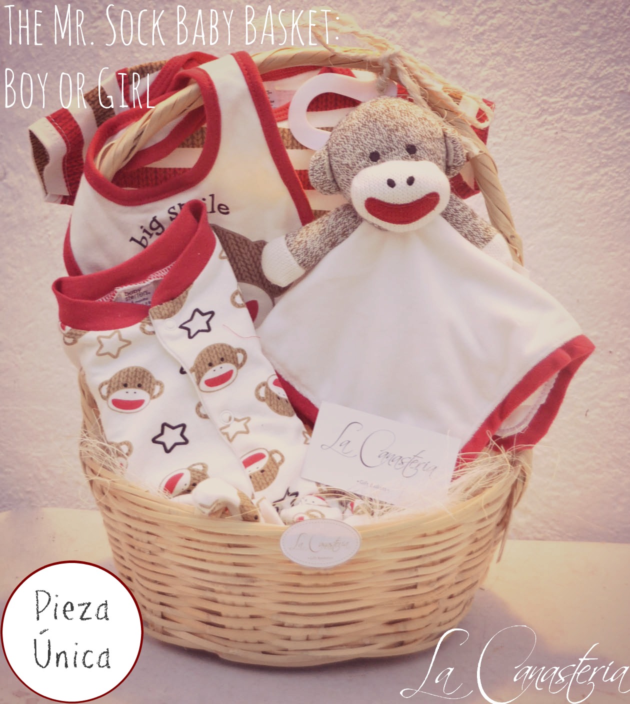 TheMr.SockBabyBasket_boyorgirl_title_logo