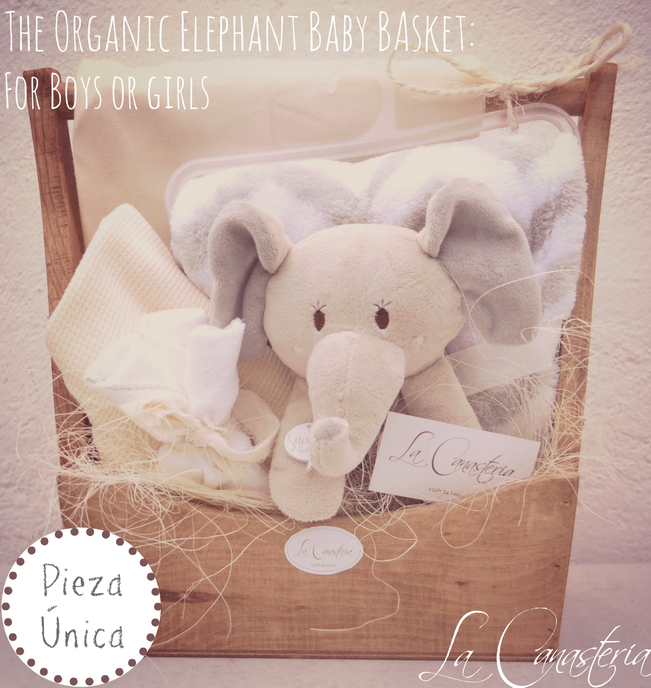 TheOrganicElephantBabyBAsekt_title_logo