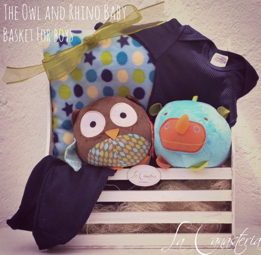 TheOwlandRhinobabybasket_forboys_title_logo