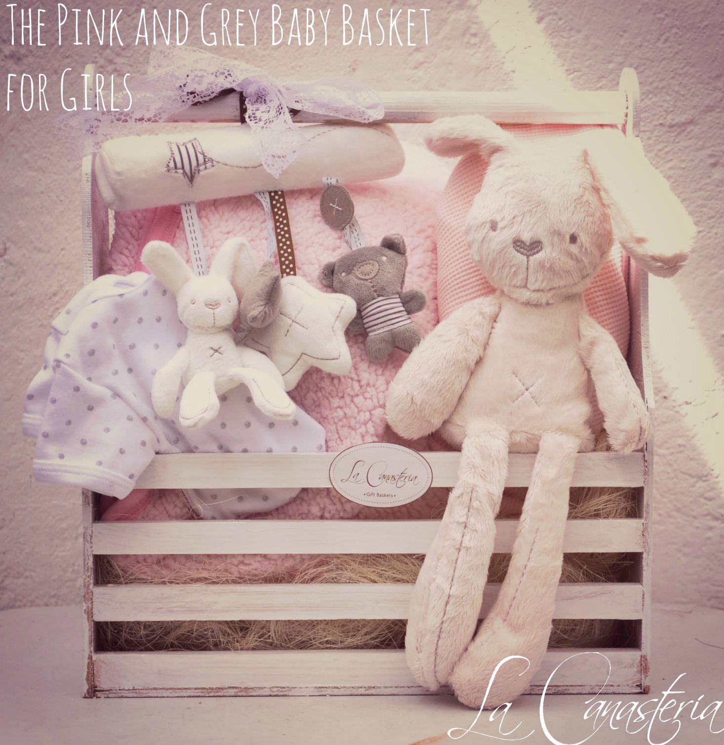 thepinandgreybabybasketforgirls_title-logo