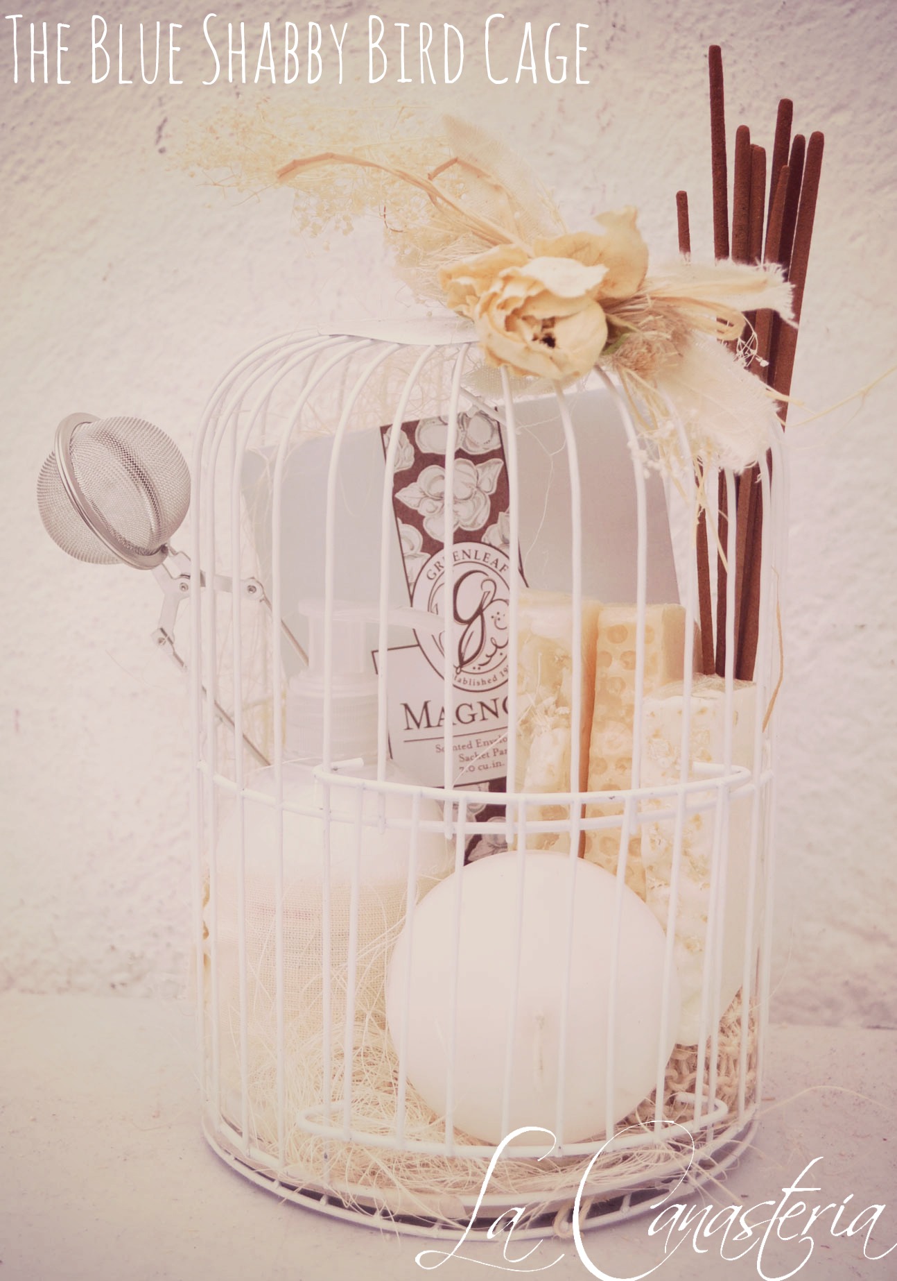 theblueshabbybirdcage_title_logo