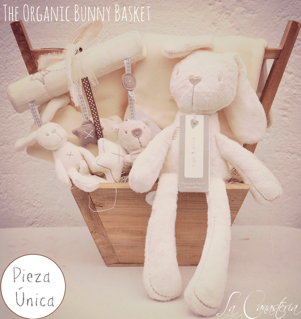 Theorganicbunnybasket_title_logo