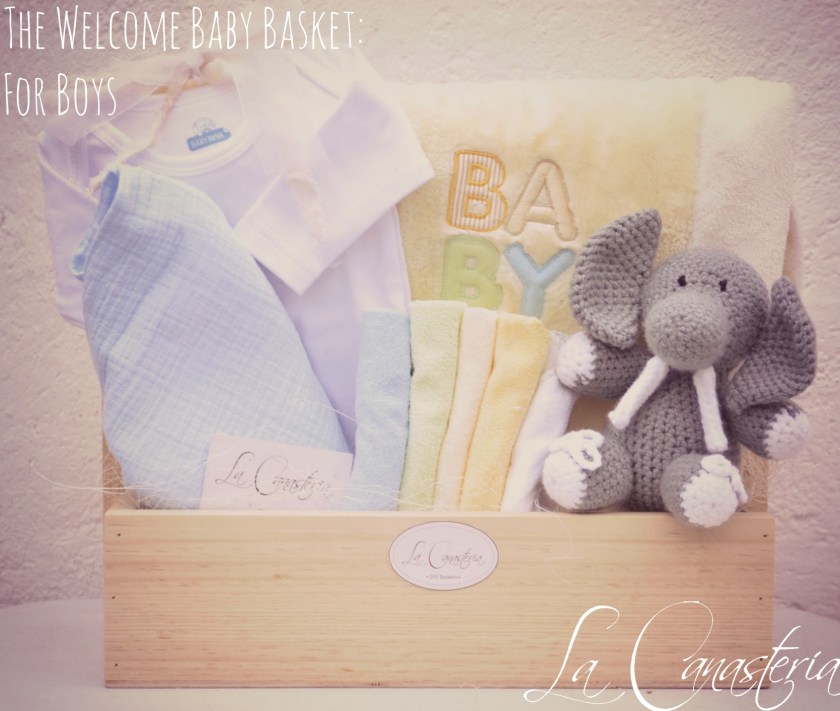 TheWelcomeBabyBasket_ForBoys_title_logo