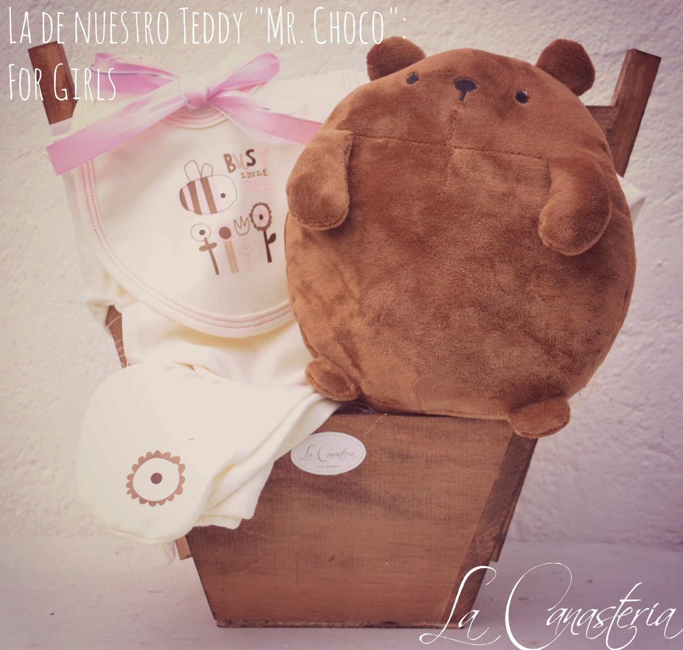 Ladenuestroteddy_mrchoco_title_logo