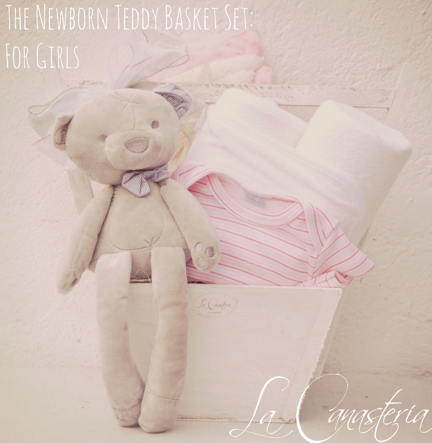 thenewbornteddybasketset_forgirls_title_logo