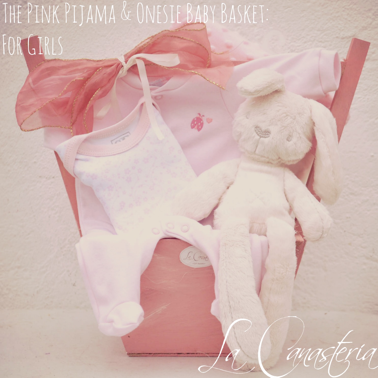 Thepinkpijama&onesiebabybasket_forgirls_title_logo