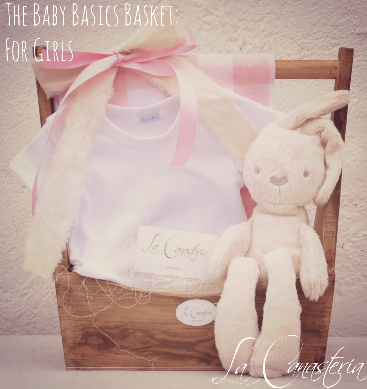 TheBabyBascisBasket_title_logo