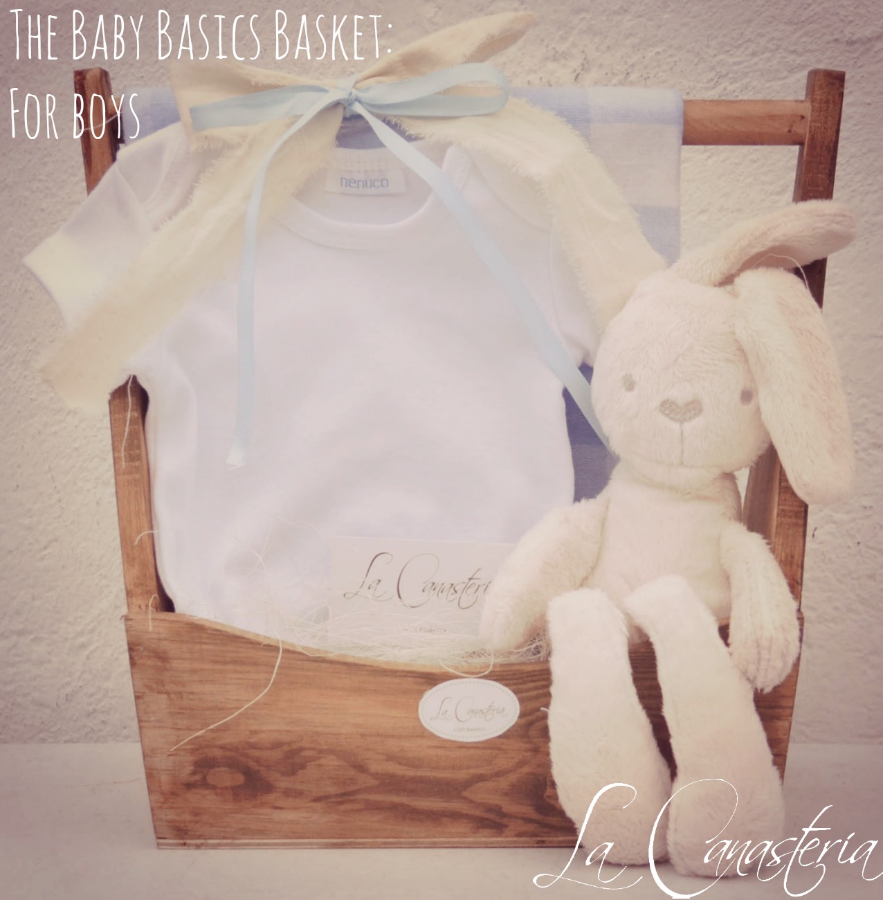 TheBabyBasicsBasket_Forboys_title_logo