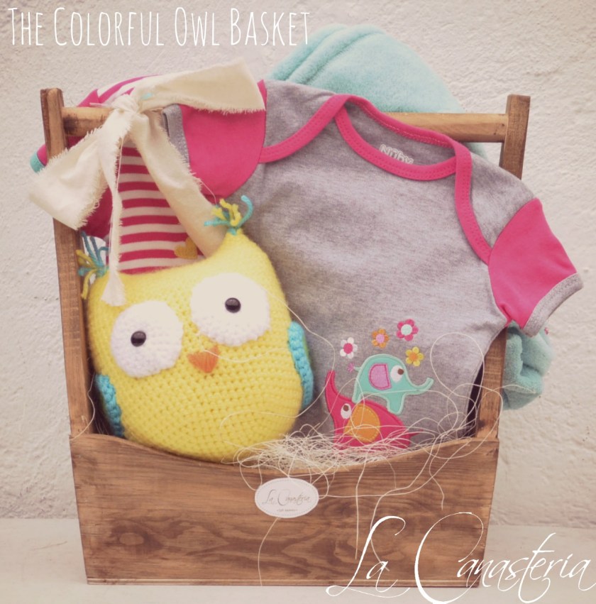 TheColorfulOwlBasket_title_logo