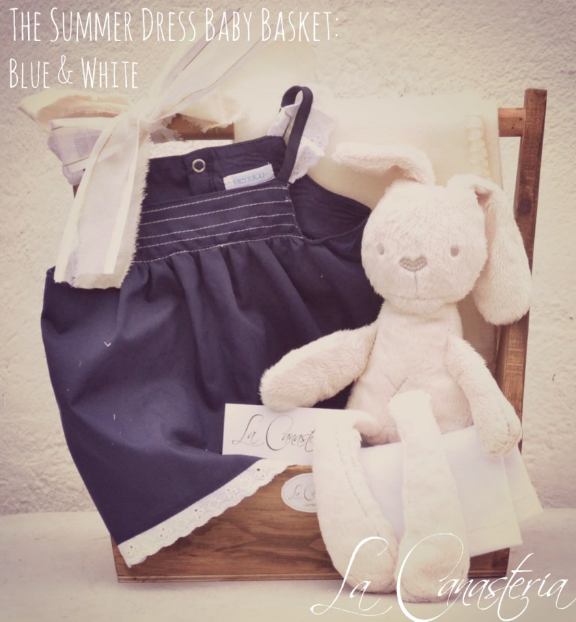 Thesummerdressbabybasket_blueandwhite_title_logo