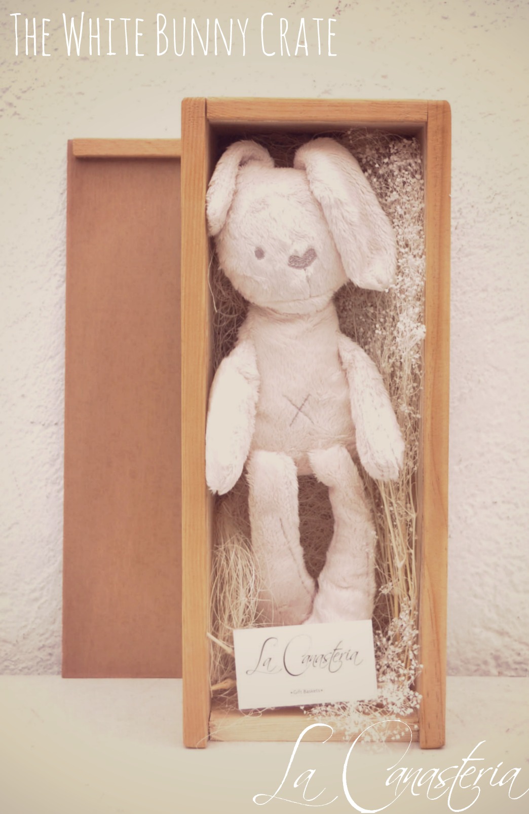 TheWhiteBunnyCrate_title_logo