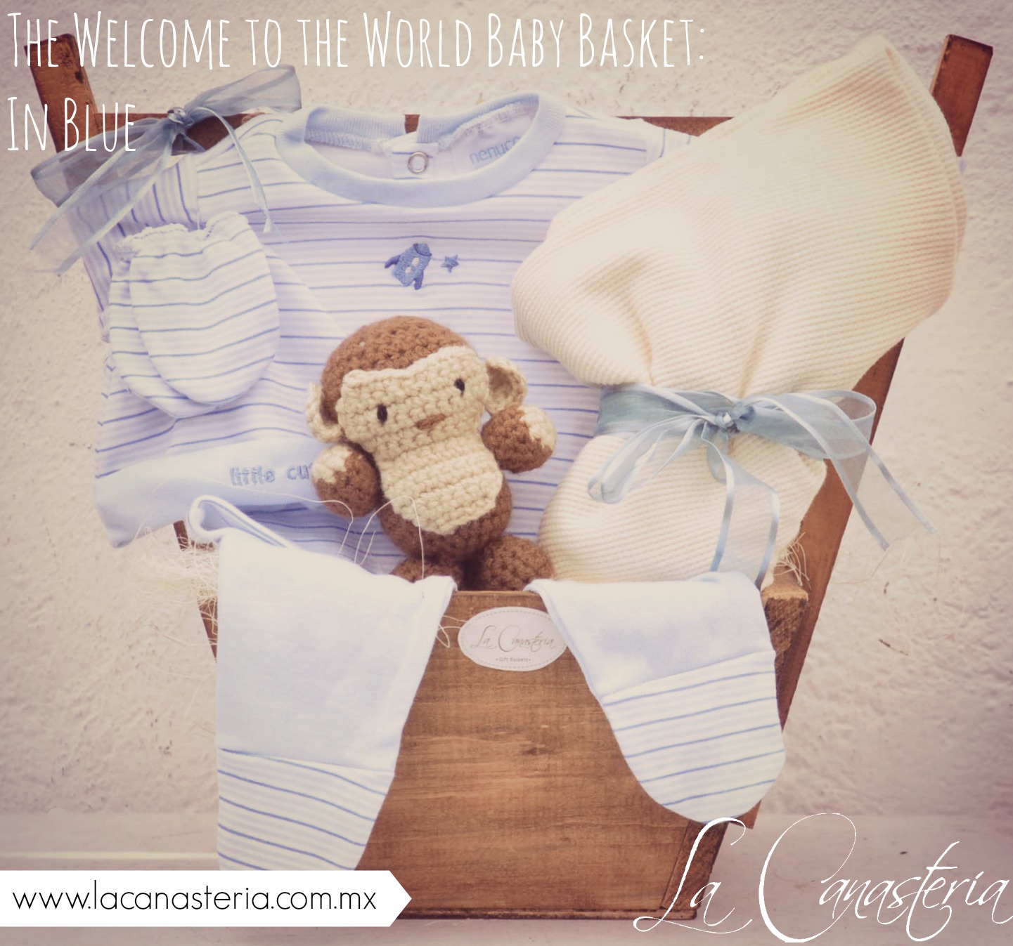 thewelcometotheworldbabybasket_blue_title_logo
