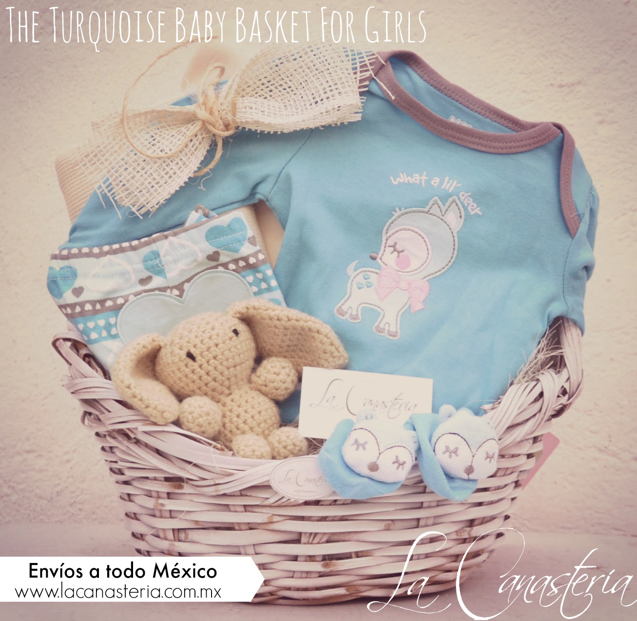 theturquoisebabybasketforgirls_title_logo