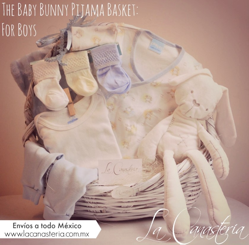 Thebabybunnypijamabasketforboys_title_logo