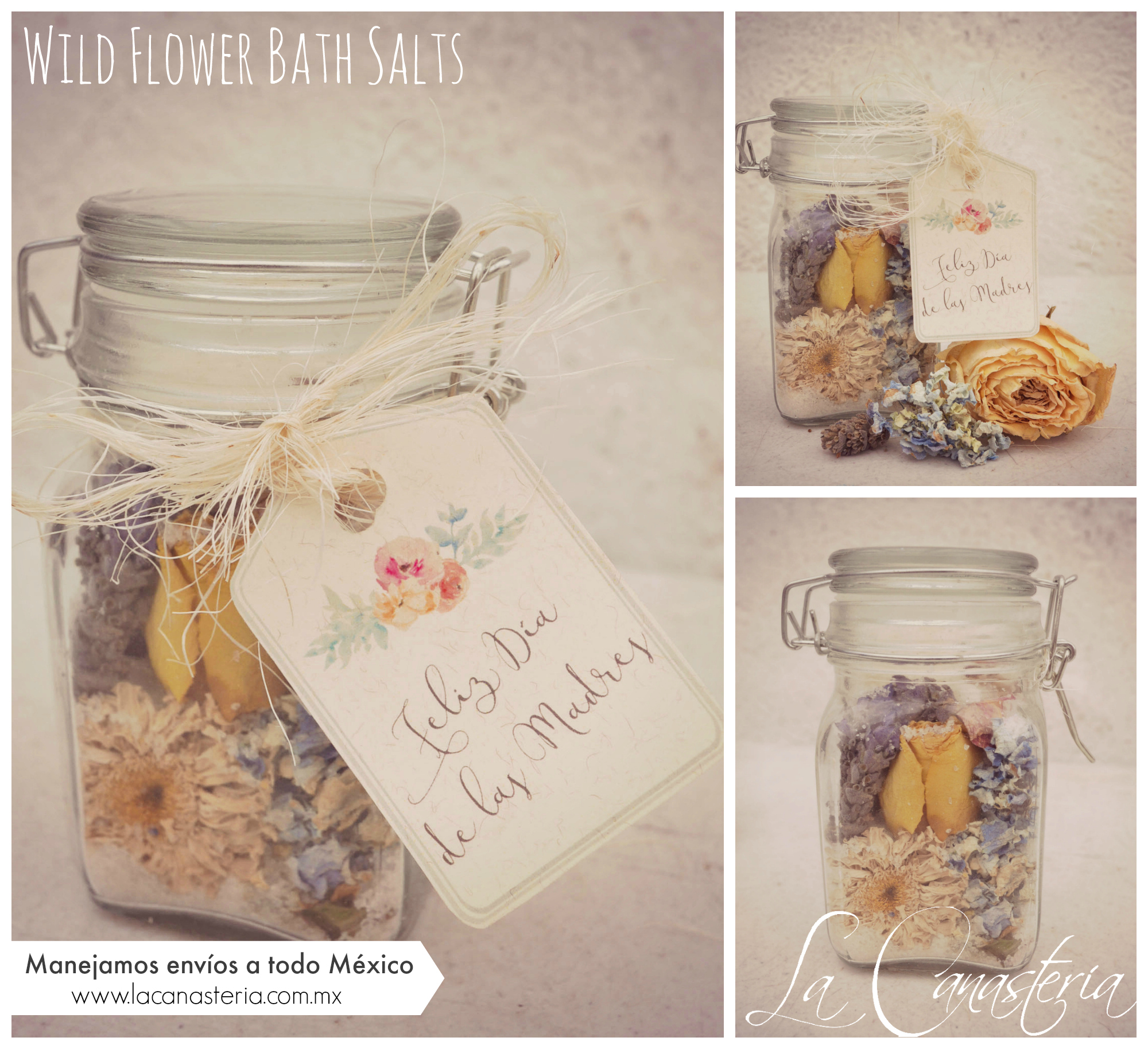 wildflowerbathsalts_title_logo