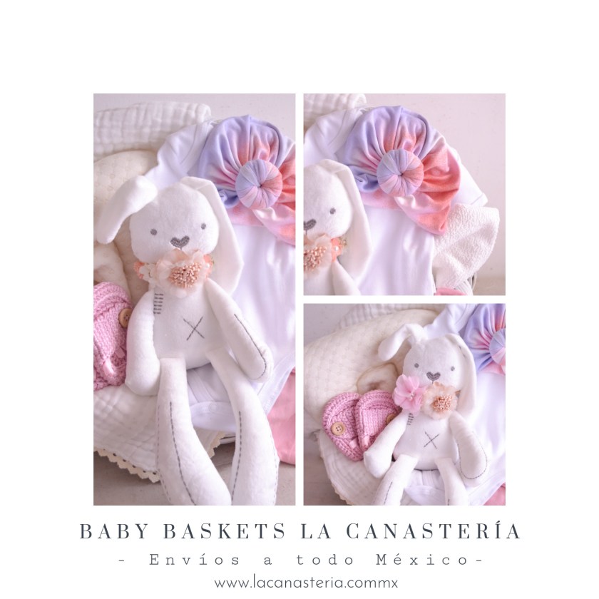 Canastas de regalo en méxico con temática para bebé y envío a domiclio en todo el pais La Canastería